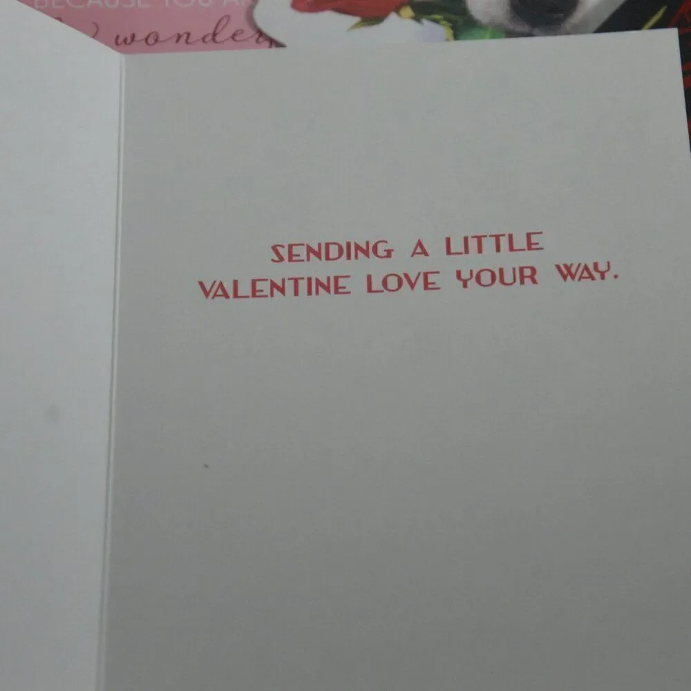 Valentines Day Cards 15 Various Brand New with Envelopes